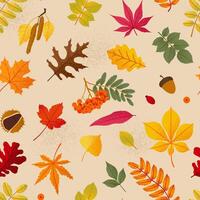 Autumn seamless pattern with different leaves in flat style vector