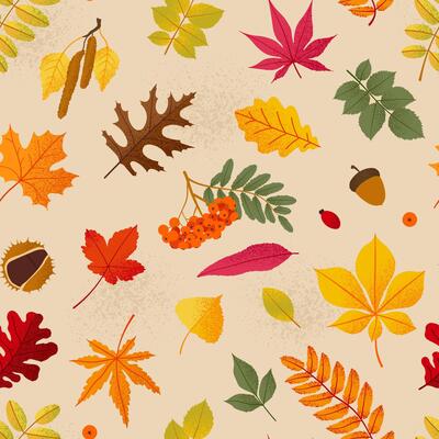 Autumn seamless pattern with different leaves in flat style