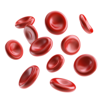A detailed close-up of red blood cells floating in space, showcasing their smooth, disc-like shapes and vibrant red color, AI-Generateds png