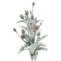 3d illustration of Thistle isolated on transparent canvas png
