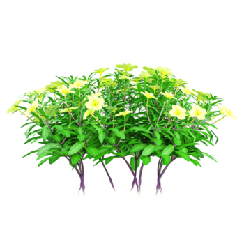 isolerat tropisk gul blommor växter isolerat på transparent duk png