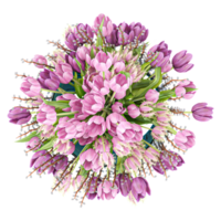 3d illustration of Purple tulips in pot isolated on transparent canvas from top view png