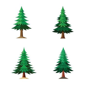 Four different types of pine trees on a white background vector