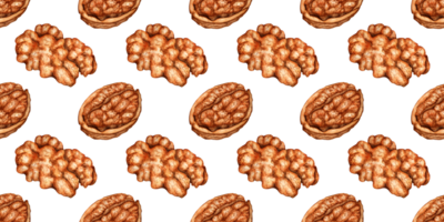 Walnut split and kernels pattern watercolor illustration isolated from background. Realistic texture and natural colors of shell and nut. Ideal for cooking, botanical still lifes, packaging design. png