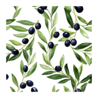 Watercolor Pattern of Olive Branches with Black Olives on a transparent background png
