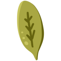 Leaf simple illustration png