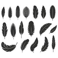 Feathers set illustration vector