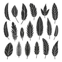 Retro Feather Designs Collection vector