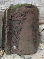 A close-up of a weathered clay roof tile covered in moss and dirt, showing signs of age and neglect. photo