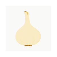 Garlic Vegetable Herb Spice Cooking vector