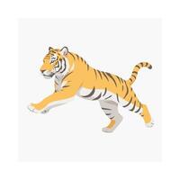 Tiger Wildlife Predator Jungle Fierce vector