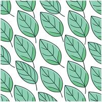 A pattern with green leaves on a white background vector