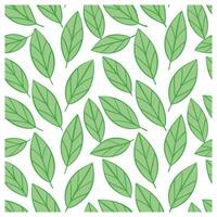A pattern of green leaves on a white background vector