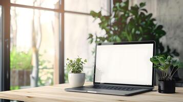 Laptop on wooden table with potted plant photo