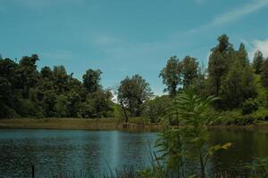 view of lake in indonesia with the bluish sky and the trees around the water, east java photo