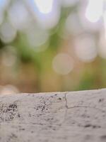 blurred background with soft, circular bokeh lights and a textured foreground. Perfect for serene designs. photo