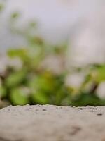 blurred background with soft, circular bokeh lights and a textured foreground. Perfect for serene designs. photo