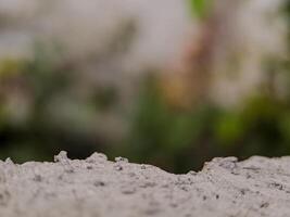 blurred background with soft, circular bokeh lights and a textured foreground. Perfect for serene designs. photo