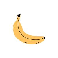 A colorful banana drawing on a white background showcasing its smooth curve and texture vector