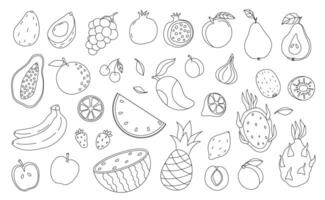 An assortment of hand-drawn vegetables arranged on a white background for artistic inspiration vector