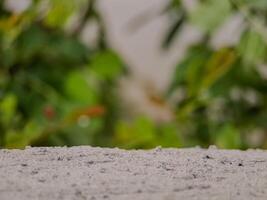 blurred background with soft, circular bokeh lights and a textured foreground. Perfect for serene designs. photo