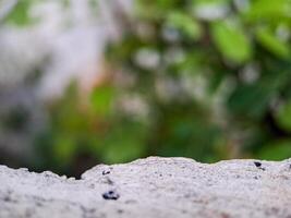 blurred background with soft, circular bokeh lights and a textured foreground. Perfect for serene designs. photo
