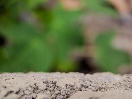 blurred background with soft, circular bokeh lights and a textured foreground. Perfect for serene designs. photo