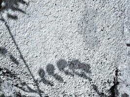stark, black and white image of a tree branch shadow cast on a rough, textured concrete wall. Perfect for minimalist or abstract design projects. photo