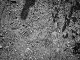 stark, black and white image of a tree branch shadow cast on a rough, textured concrete wall. Perfect for minimalist or abstract design projects. photo