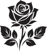 Rose with Leaves Silhouette on Stem Isolated on White Background vector