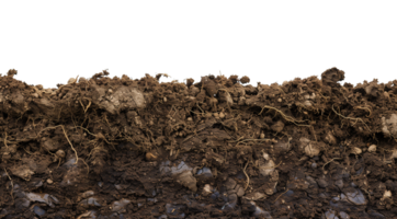 Soil Horizontal Isolated on Transparent Background png