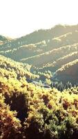View on autumn forest in mountains and blue sky of Switzerland video