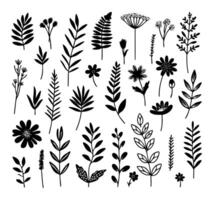 Hand drawn design floral elements vector