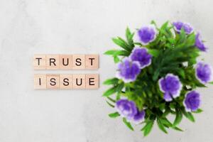 Top view of Trust Issue word on wooden cube letter block on white background. Business concept photo