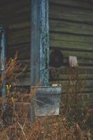 A bucket hangs on a chain against the background of an old, rustic house photo