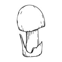 A mushroom hand-drawn in black ink on a white background vector