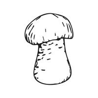 A mushroom hand-drawn in black ink on a white background vector