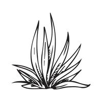 A bunch of grass hand-drawn in black ink on a white background vector