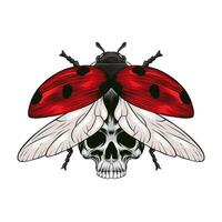 colored illustration of ladybug and skull vector