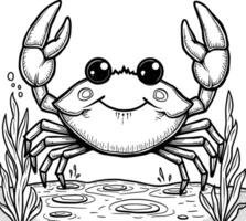 Crab hand drawing cartoon coloring book illustration vector