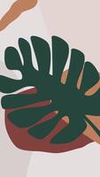 A leaf with a green and brown background video