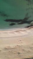 An aerial view of a beach and water video