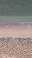 An aerial view of the beach and water video