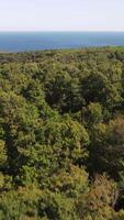 Aerial view of forested area with ocean in background video