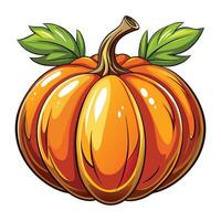 a pumpkin with white background vector
