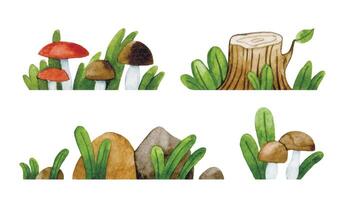 watercolor drawing. set of forest elements. bushes, mushrooms and herbs. cute illustration in simple style vector