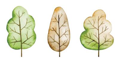 watercolor drawing. set of autumn trees, illustration in simple style vector