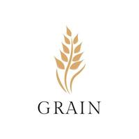 wheat grain logo design creative idea vector