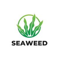 seaweed logo design concept idea with label circle vector