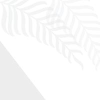 palm leaf tree leaves background design template vector